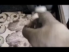 در تولید کاربید ولتفستم